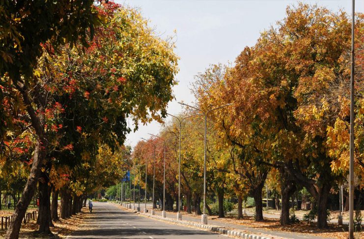 coronavirus in chandigarh
